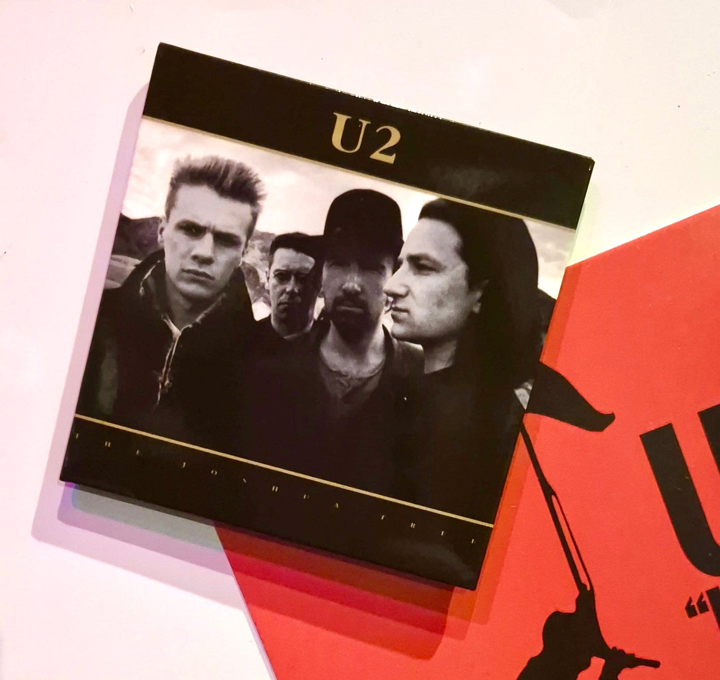 U2 Joshua Tree Magnet