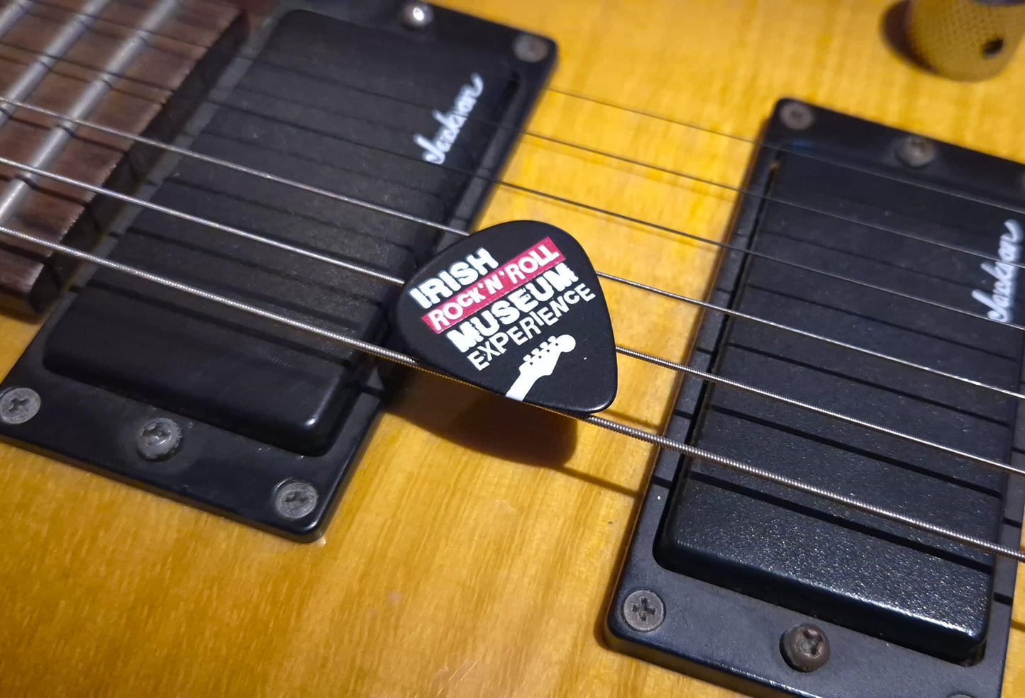 Museum Guitar Pick