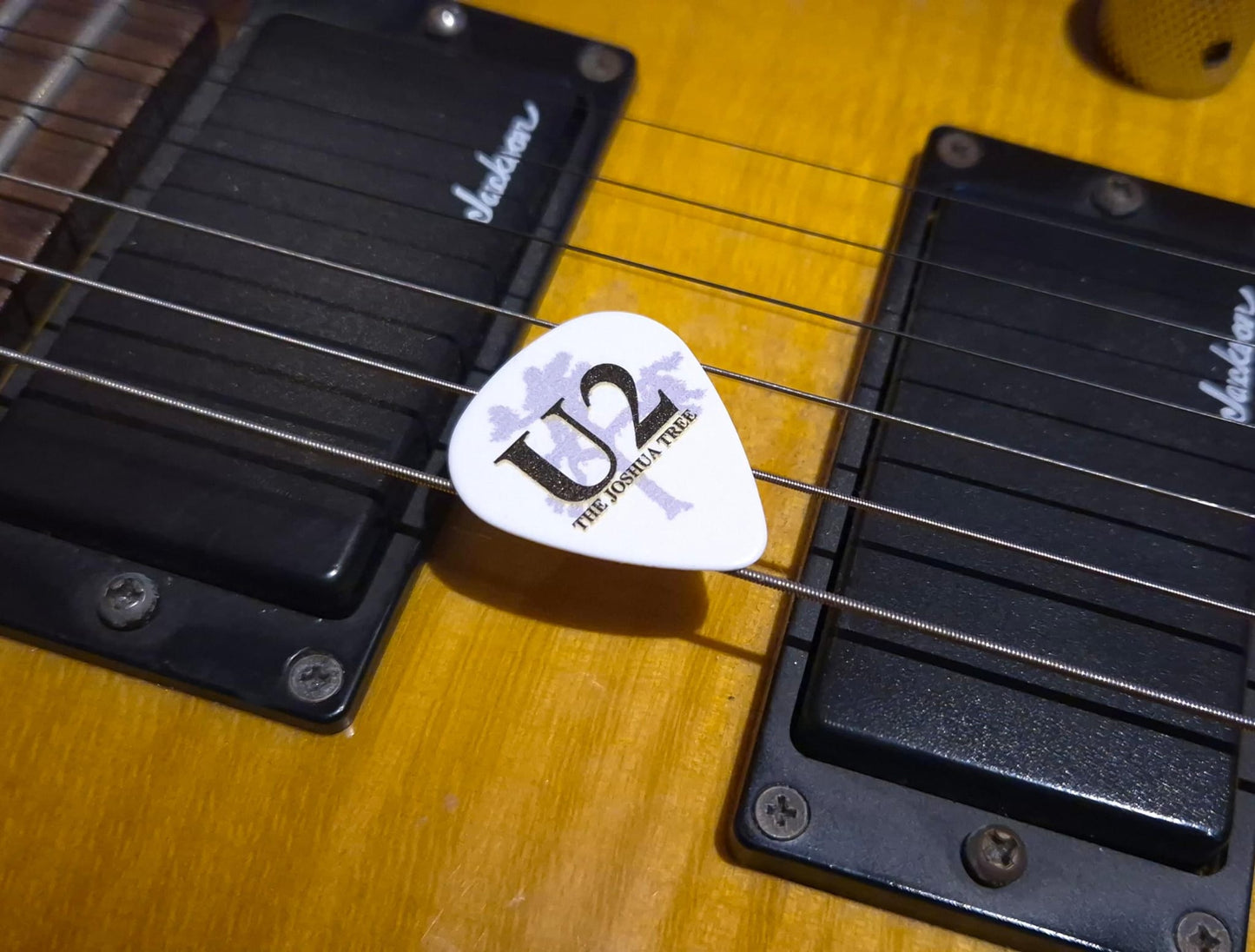 U2 Guitar Pick